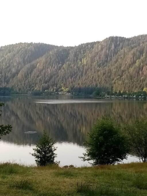 Vacances Xonrupt-Gerardmer Екстериор снимка